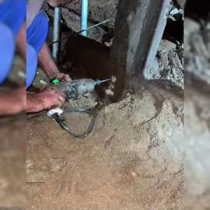 reforço estrutural